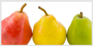 Resultado de imagen para comida saludables individuales