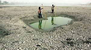 Image result for AGRI PROBLEM PHOTO