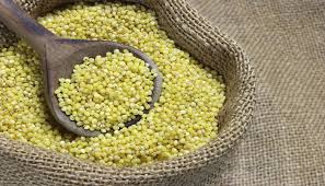 Image result for millet