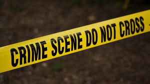 Eight dead in school shooting in Austrian city of Graz