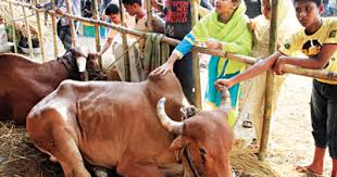 Image result for হাট বাজার নীতিমালা