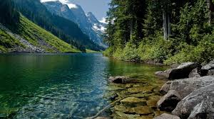 Image result for Amazing HD Nature Wallpapers For Desktop