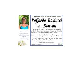 Senigallia Notizie - News update