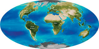 Image result for global environment