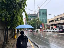 Cebu Daily News - News update