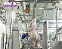 Automated Carcass Collection and Transport Systems