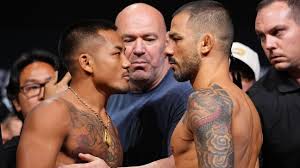 UFC 331 hoje: horário das lutas de Pantoja e Ruffy, onde assistir ao vivo e o card completo