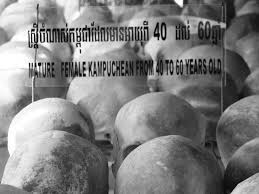 Image result for cambodia history killing fields