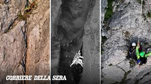 Trend Google: pizzo d'uccello