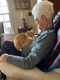 Our pet, Clancy went missing from Beauregard Lane in Fair Oaks April 11. He is almost 2 and is a classic Orange tabby with a white bib. He is friendly. Pls contact