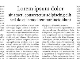 Image result for lorem ipsum