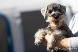 연합뉴스 - News update