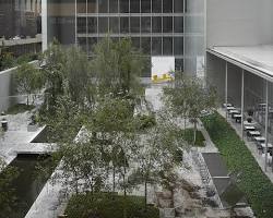 Image of Museum of Modern Art (MoMA), New York City