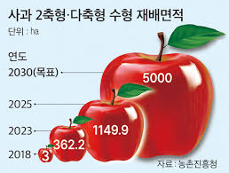 사과 아이콘