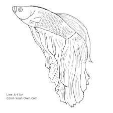 fish coloring pages ile ilgili görsel sonucu