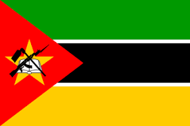 Image result for mozambican flag
