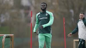 Trend Google: boniface