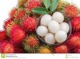 Image result for RAMBUTAN