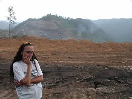 “mountain top removal”的图片搜索结果