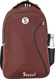 15 inch laptop backpack india Halo 15.6 Laptop Backpack 20L