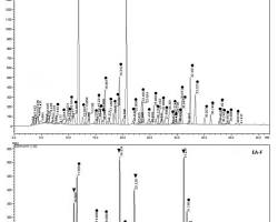 Image of Chromatogram indicating peaks