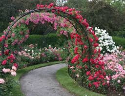 Image result for arch trellis