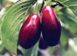 images?q=tbn:ANd9GcTzSa3bg5FG7Xyk75V3tzpQRELpwJPla4v38AxhKUOiGF6C-zD3