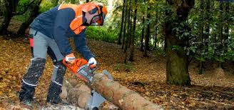 Image result for chainsaw proof trousers