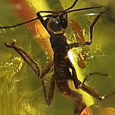 istanbul #tasbih #ustasi #tesbihustasi #rosarymaster #katalin #tesbihustasi#tesbih #tespih #faturan #rosary #tesbihsanati #ankaratesbih #dubai #qatar #kuwait#kehribartesbih #kehribar #kapalicarsi #oldfaturan#doha #plexiglᴀss #ustaişi#usta#catalin ...