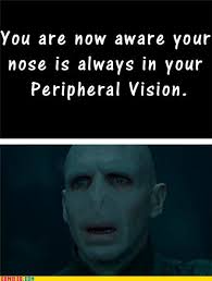 You are now aware your nose is always in your Peripheral Vision.,funny pictures. Details ﻿You are now aware your nose is always in your Peripheral Vision. - funny-pictures-auto-858069