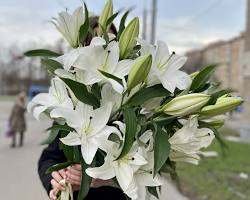 Изображение: Лилии