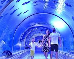صورة Hurghada Grand Aquarium, Hurghada