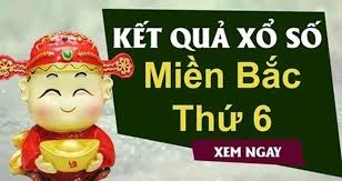 Pháp Luật và Xã hội - News update