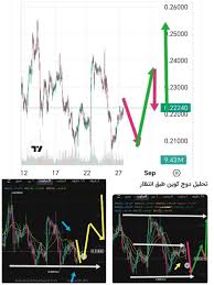 دوج کوین همچنان در مسیر!