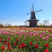 Holland