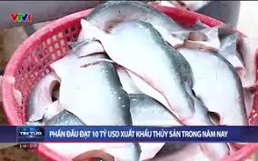 Thời sự 20h VTV1 - 24/11/2024