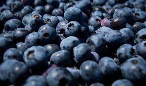 Thousands of blueberries recalled as FDA issues highest risk warning