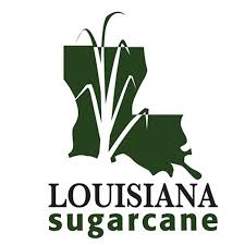 Louisiana Sugarcane News