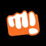 Image result for micromax logo