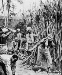 Image result for indian indentured labour