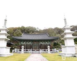 전북 군산시 옥산면 여행지 풍경, AI로 생성