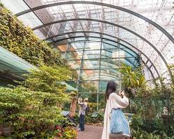 Things to do at Changi Airport Singapore