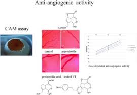 Anti-angiogenic activity of iridoids from Galium tunetanum ...