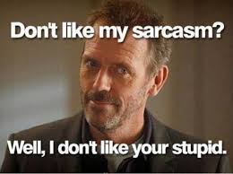Don&#39;t like my sarcasm? - Well, I don&#39;t like your stupid - Memes ... via Relatably.com