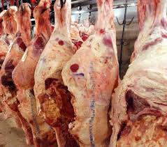"إنهيار أثمنة اللحوم الحمراء : الأسباب والتوقعات"