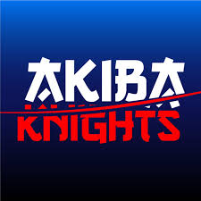 Akiba Knights