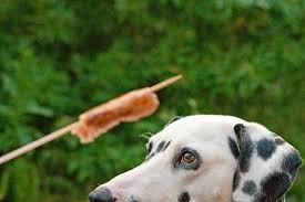 Can Dogs Eat Hotdogs? – American Kennel Club