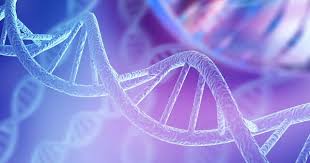 What is DNA?: MedlinePlus Genetics