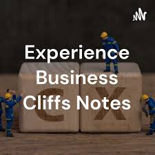 Experience Business Cliffs Notes