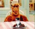 Alf Attempts To Eat A Cat -
